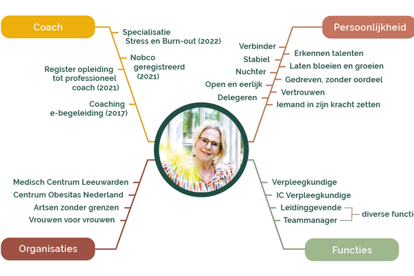 cv-alie-diagram