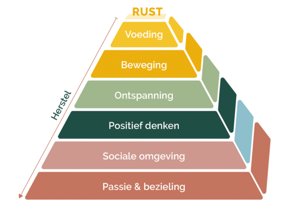 koldijk-coaching-piramide